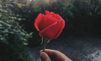 初入职场“求露头”的你准备好了吗？