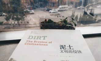 一场早就扎根的罪孽
