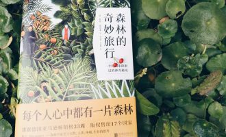 无解的时候，请换个视角再看
