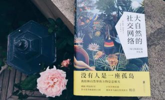 这个世界的丰富精彩，正是因为我们和而不同