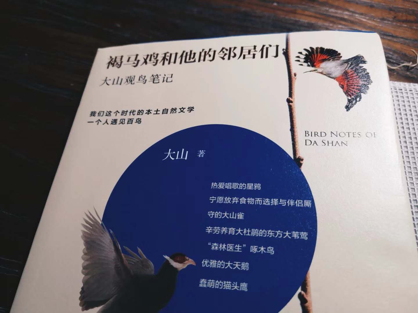 大山 / 褐马鸡和他的邻居们