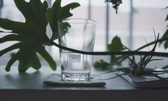 爱，本质上是一种纵容