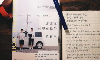 谢谢你出现在我的青春里：有些人存在，是给你当镜子用的