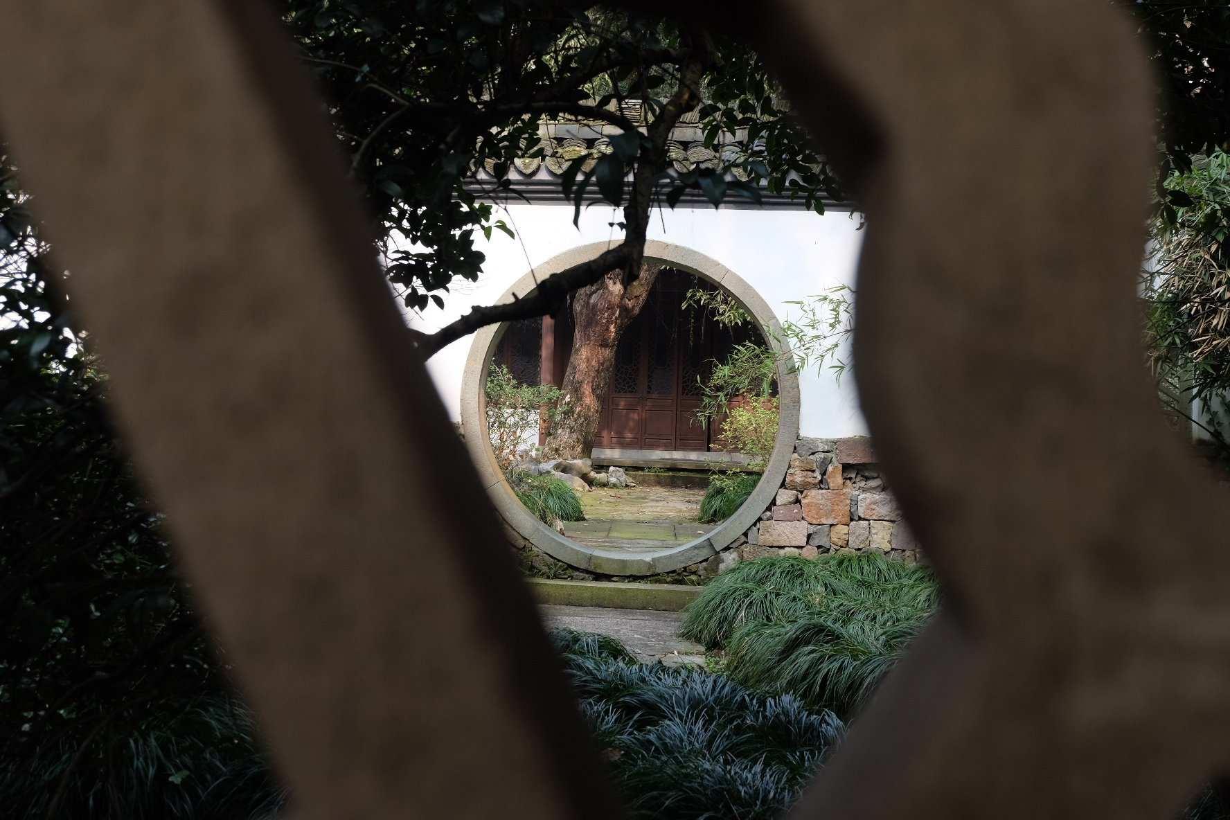 杭州植物园灵峰探梅
