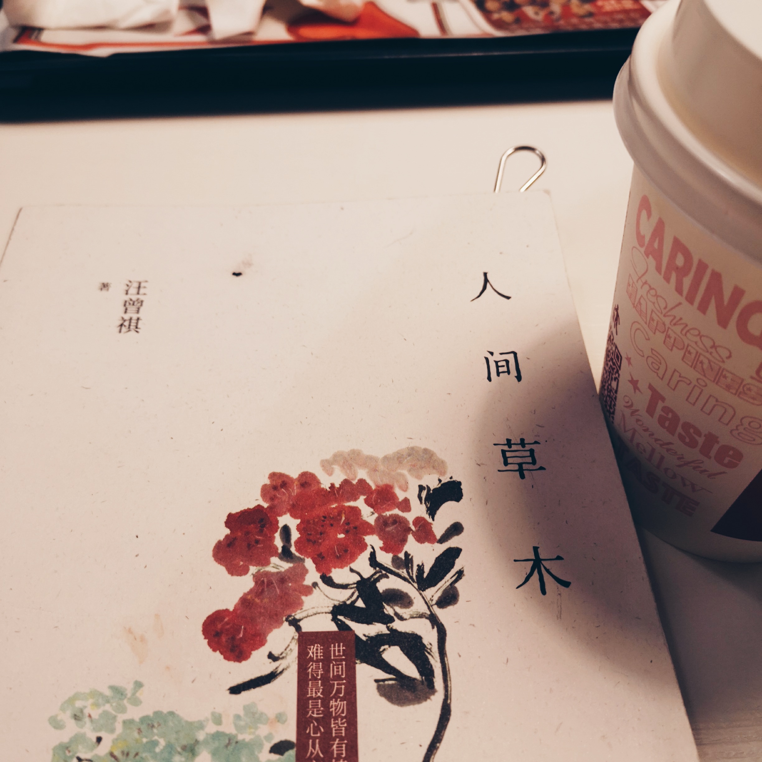 汪曾祺 人间草木