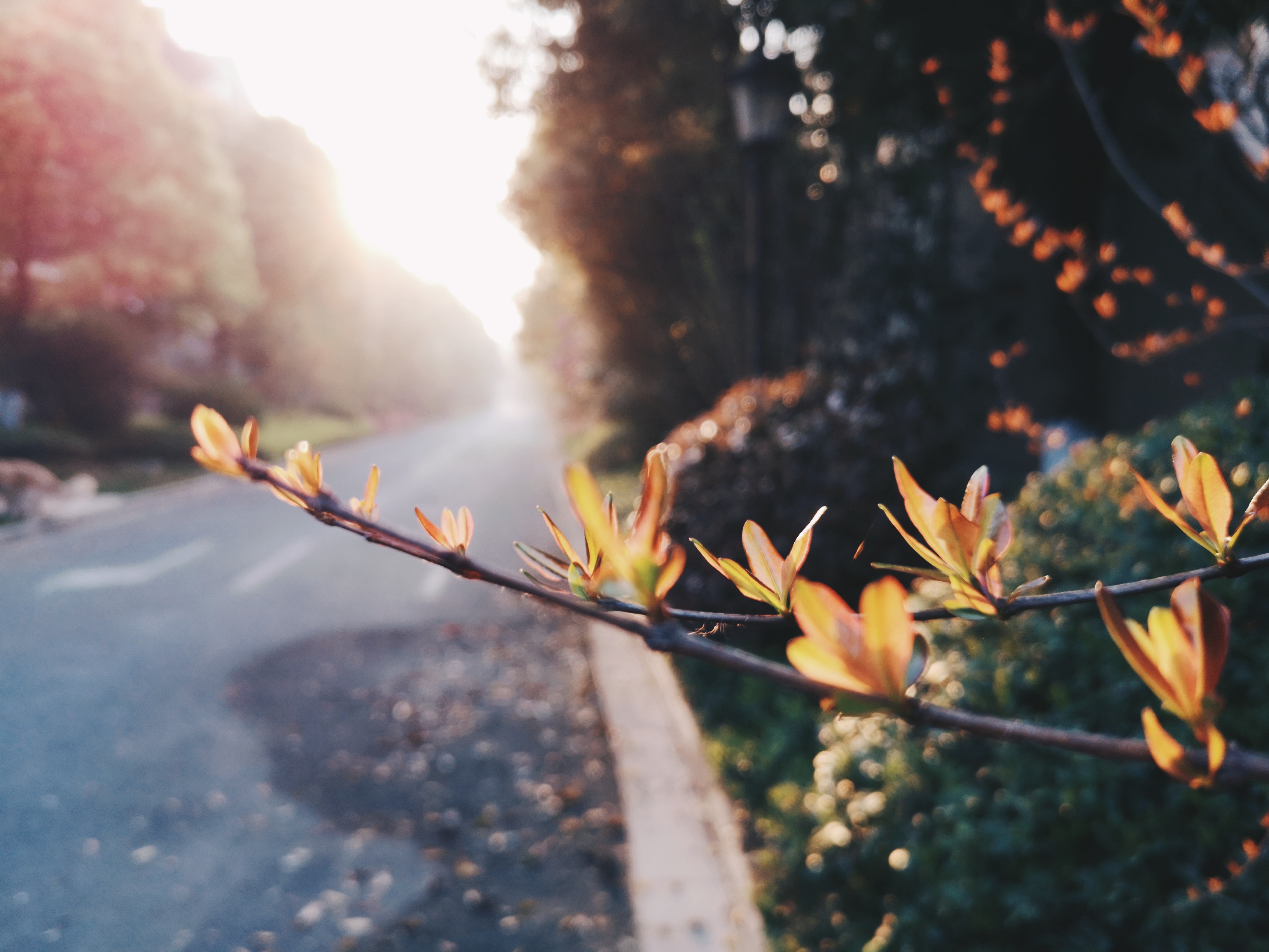 对逆光有迷思的你