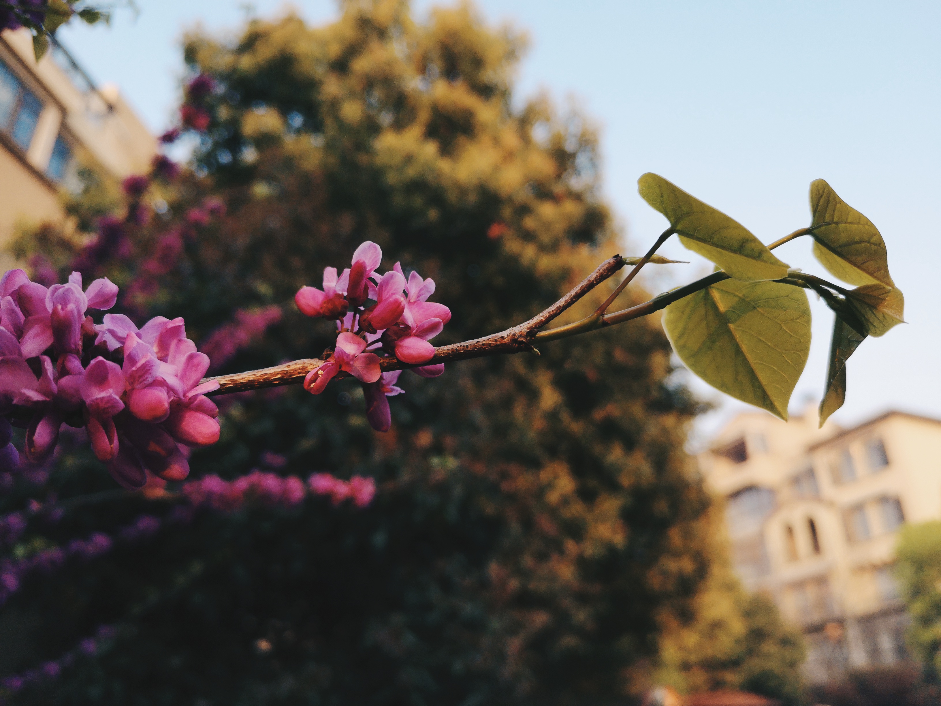 对逆光有迷思的你
