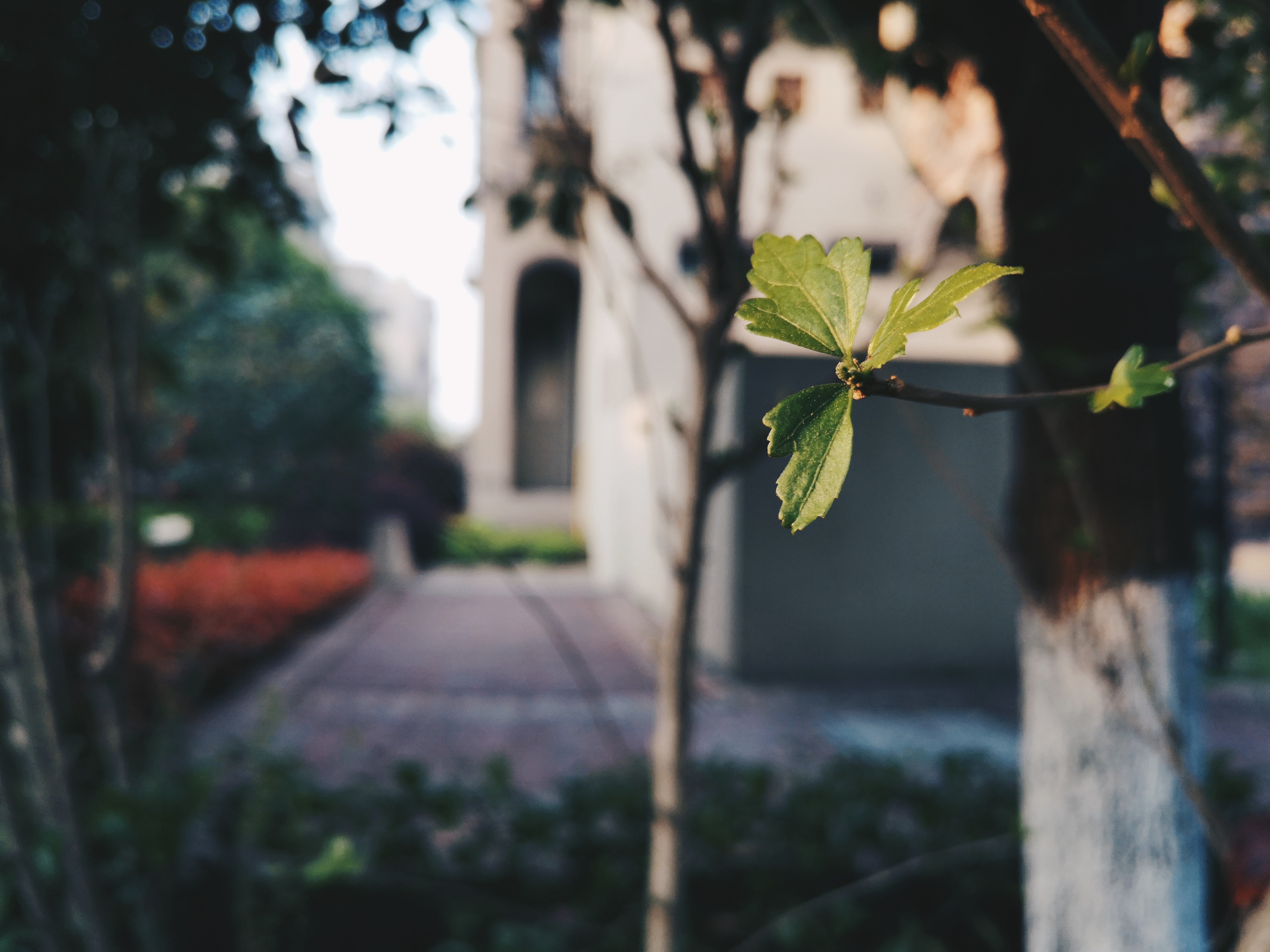 对逆光有迷思的你