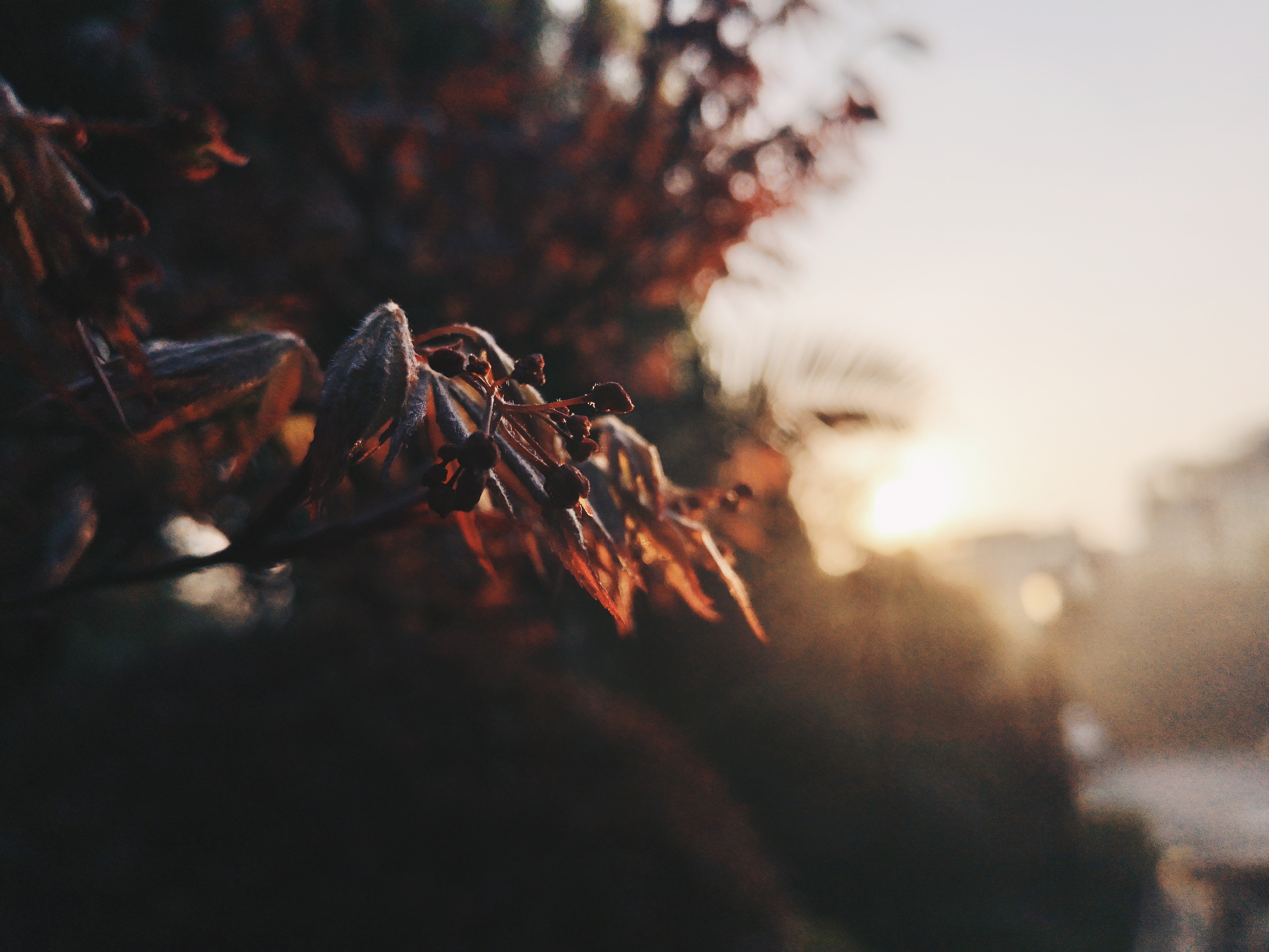 对逆光有迷思的你