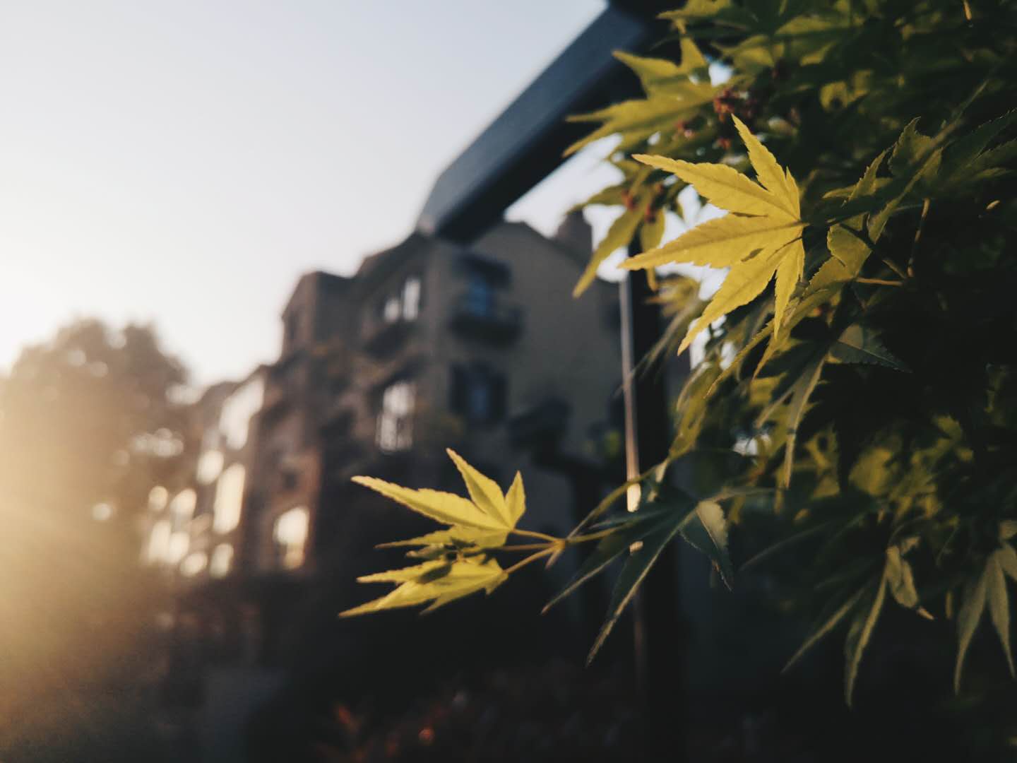 对逆光有迷思的你