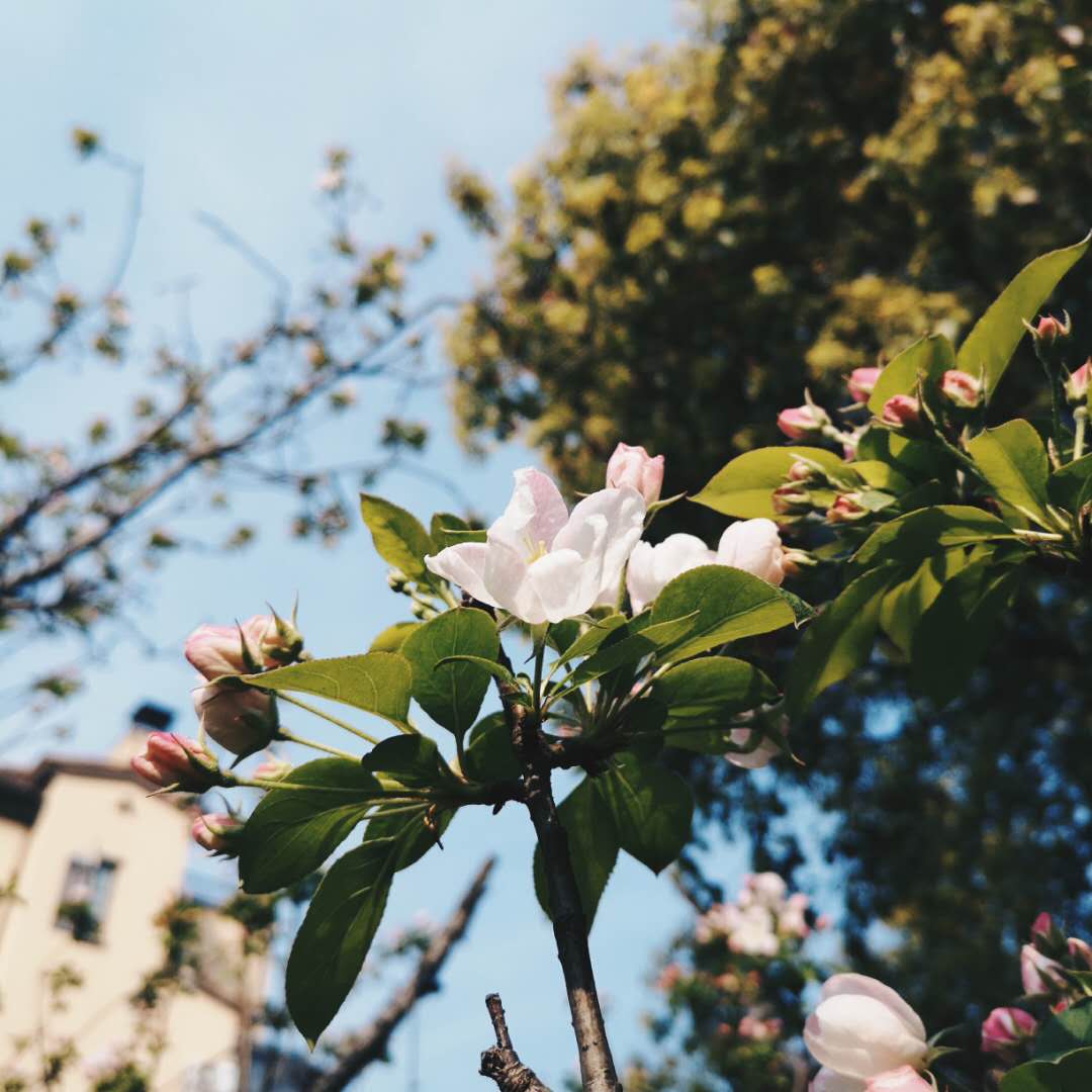 对逆光有迷思的你