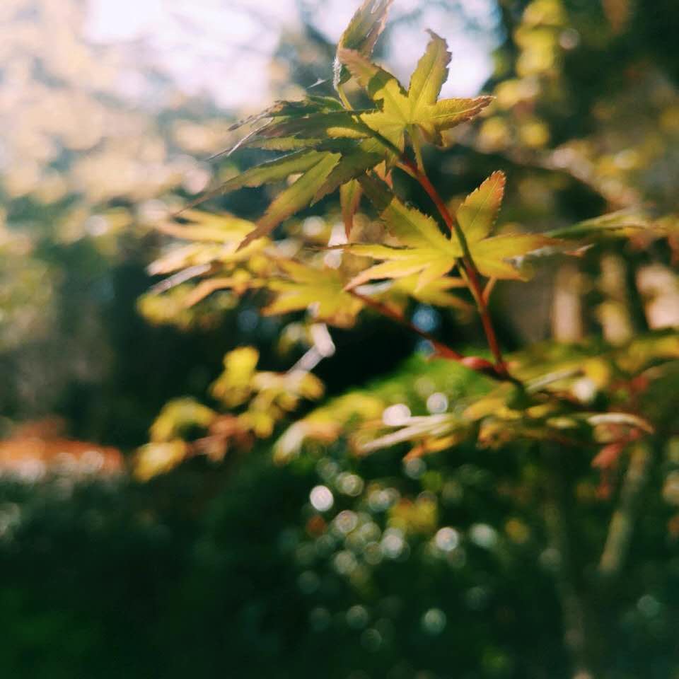 对逆光有迷思的你