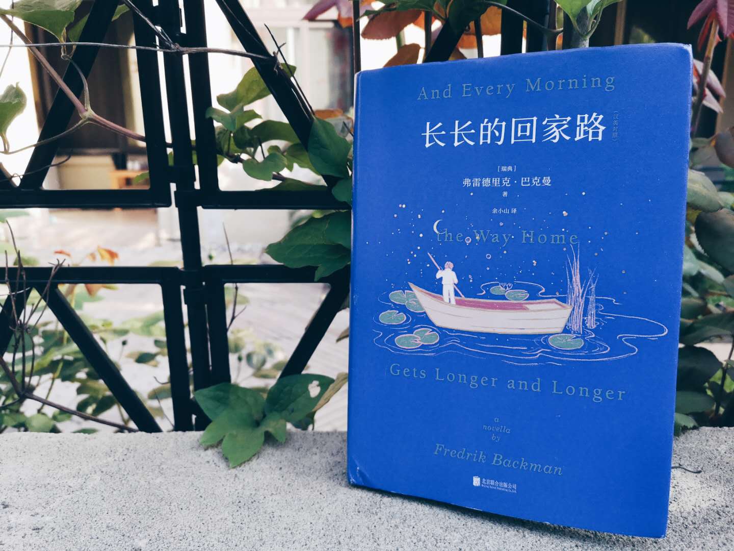 长长的回家路（中英文版）
