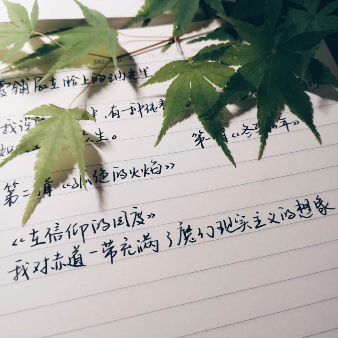 徐则臣，从一个蛋开始