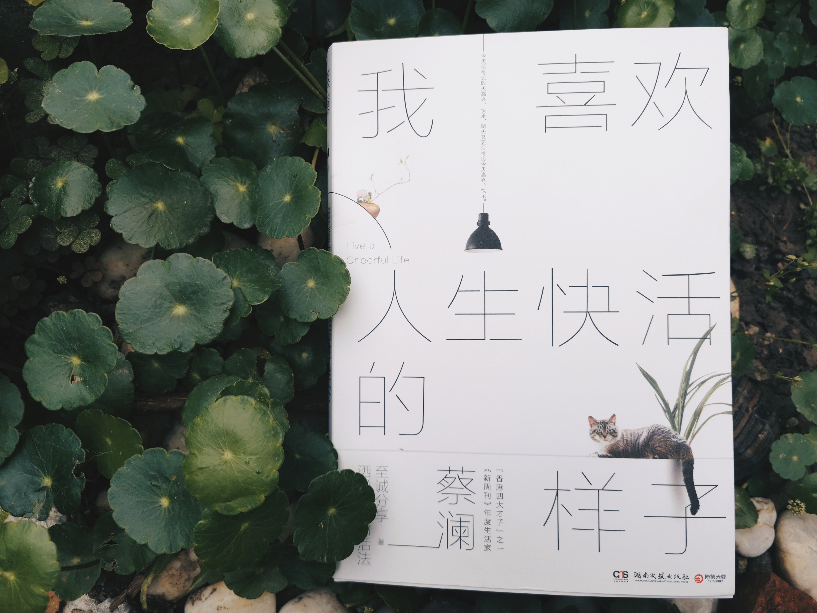 蔡澜，我喜欢人生快活的样子