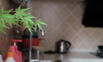 流光年年如细浪