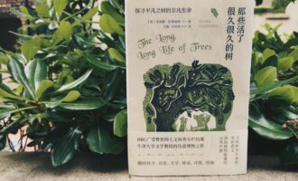 那些活了很久的树：共存于这极为短暂的一瞬