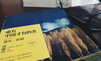唯有中国才有的美：遇见·新疆：余生不多，值得忘形