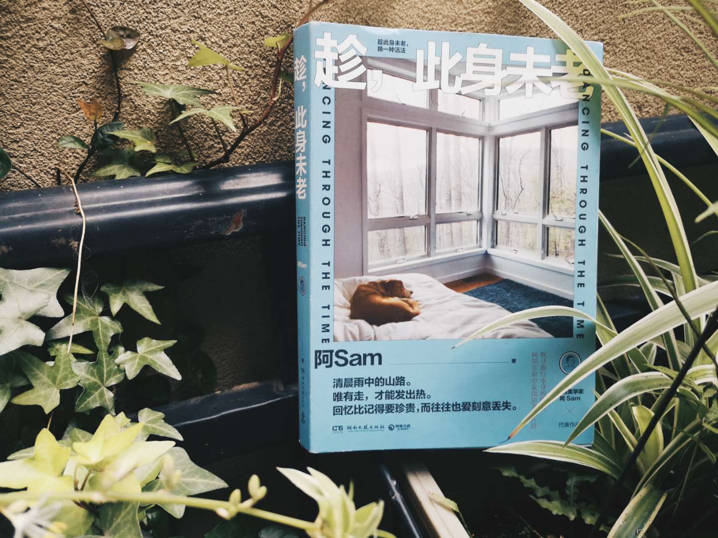 趁，此身未老 阿Sam