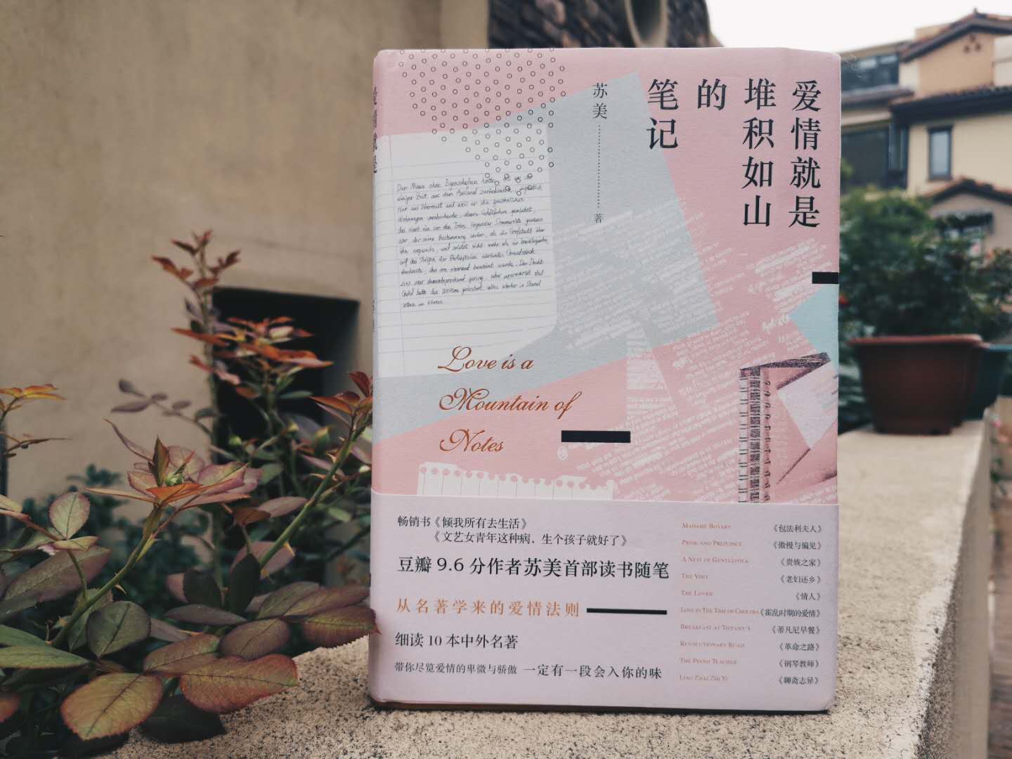苏美，爱情就是堆积如山的笔记