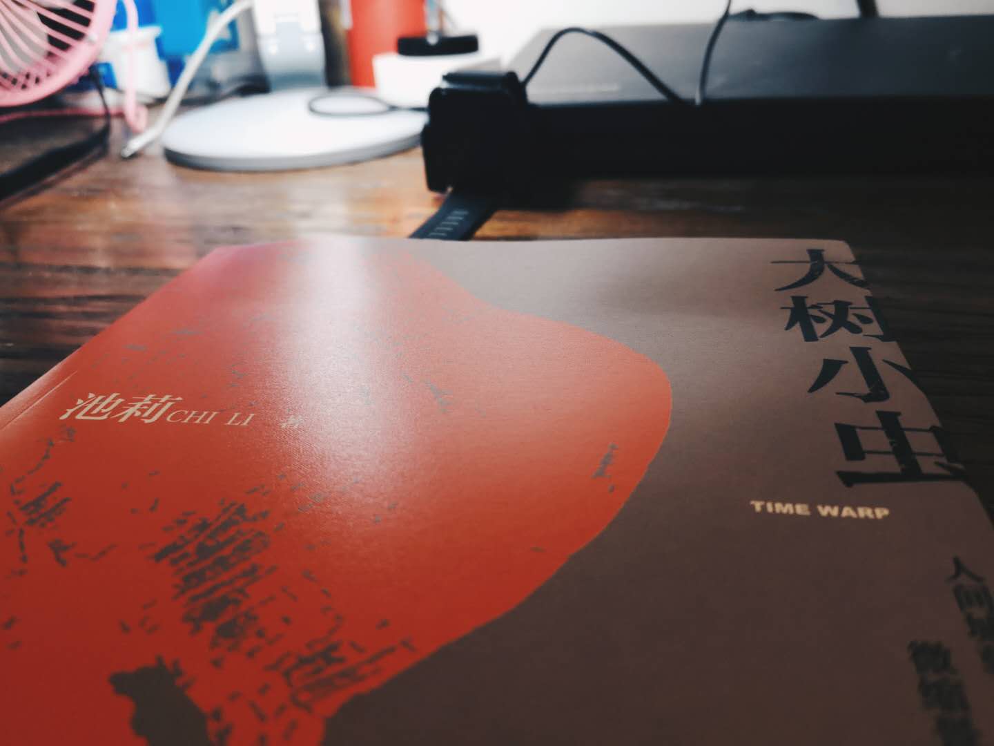 大树小虫