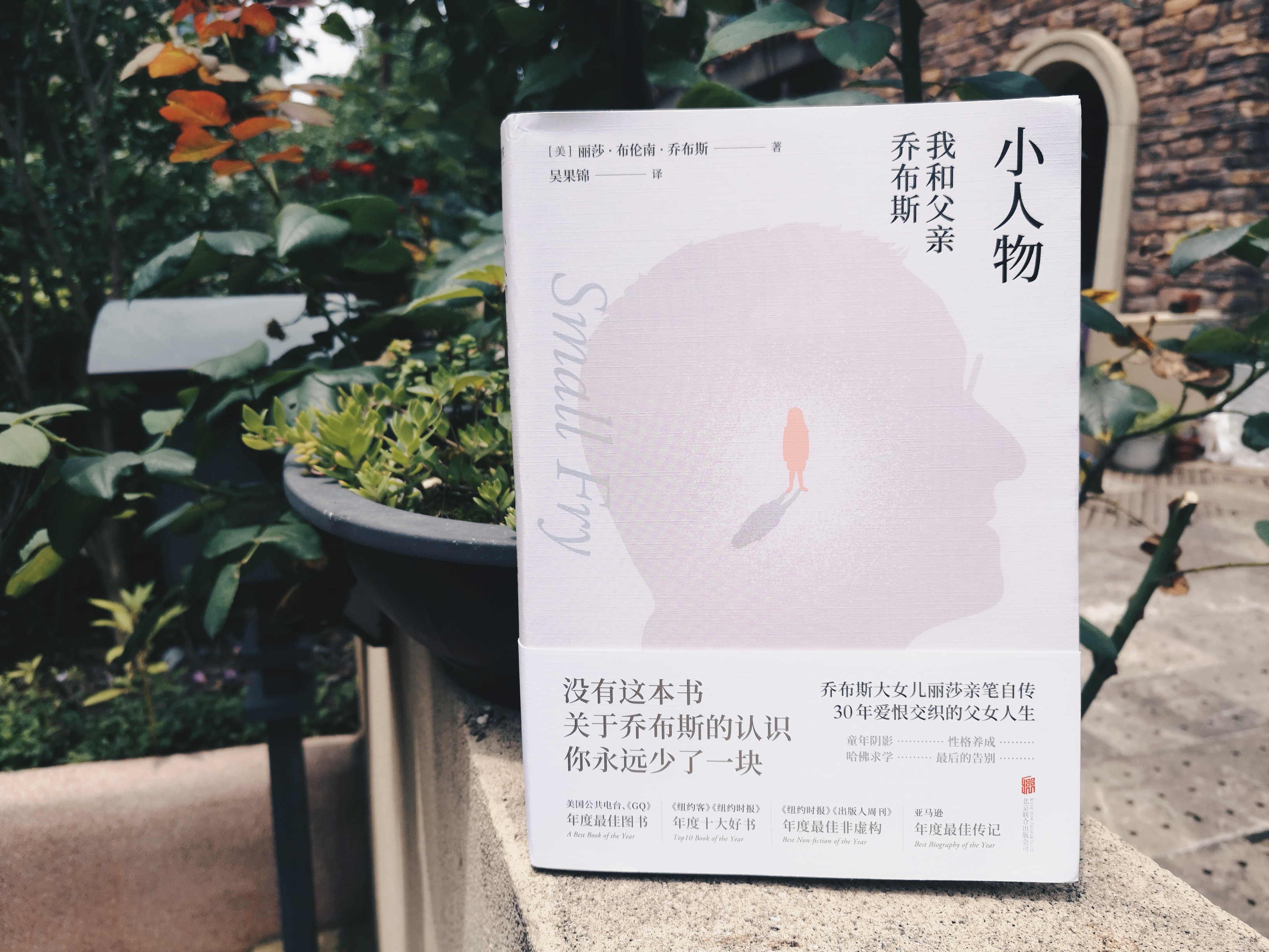 [美] 丽莎布伦南乔布斯《小人物》