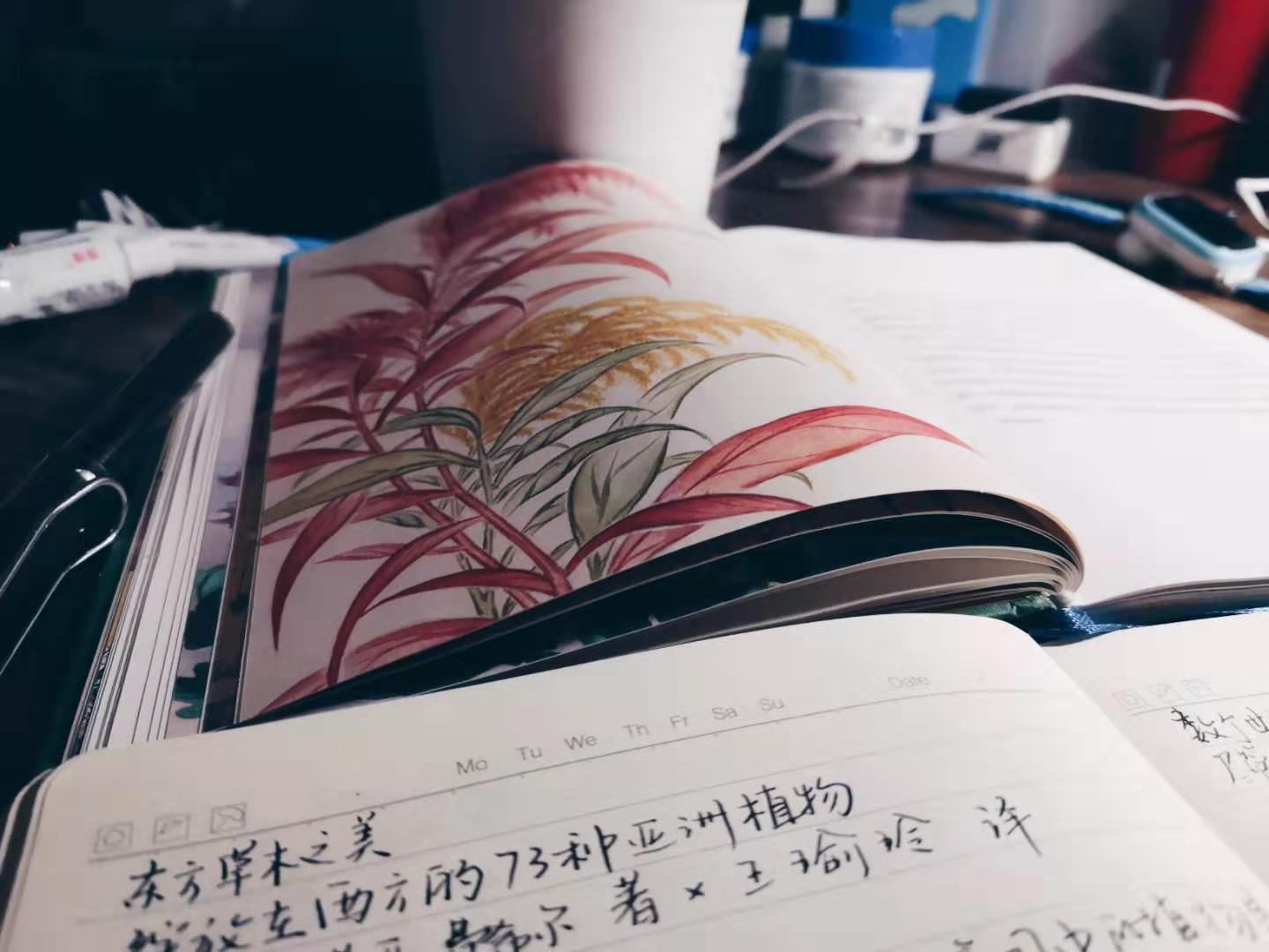 东方草木之美