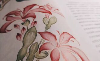 东方草木之美：还有一条更长远的路