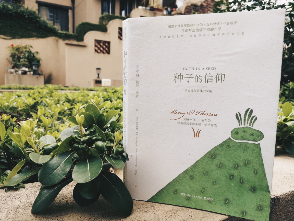 种子的信仰