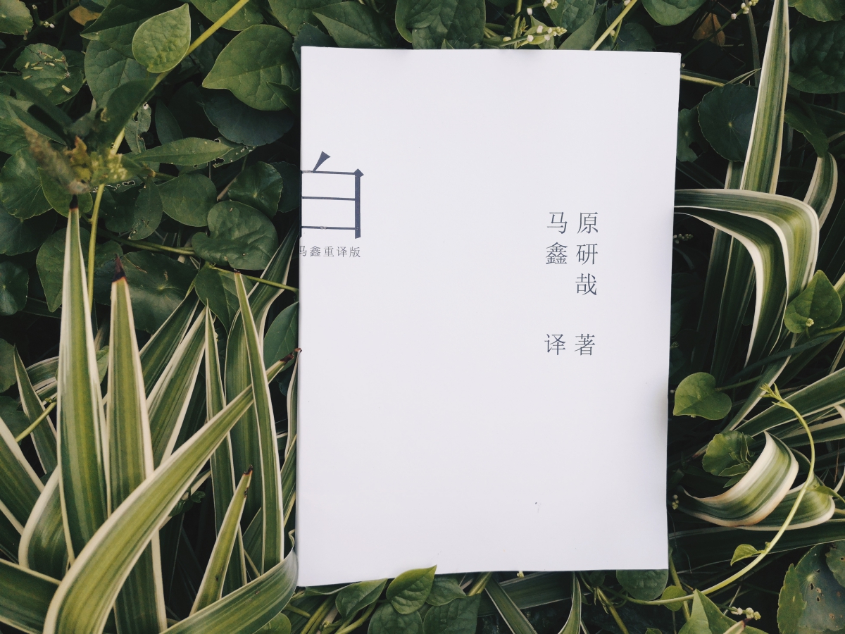 白，原研哉
