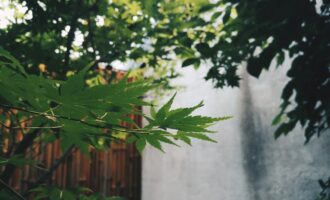 墙破了，就有了门