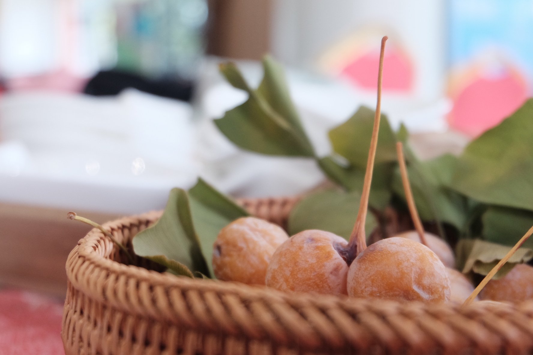 乐活+乡趣+市集