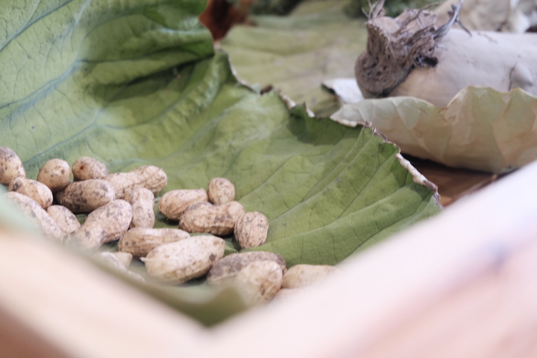 乐活+乡趣+市集