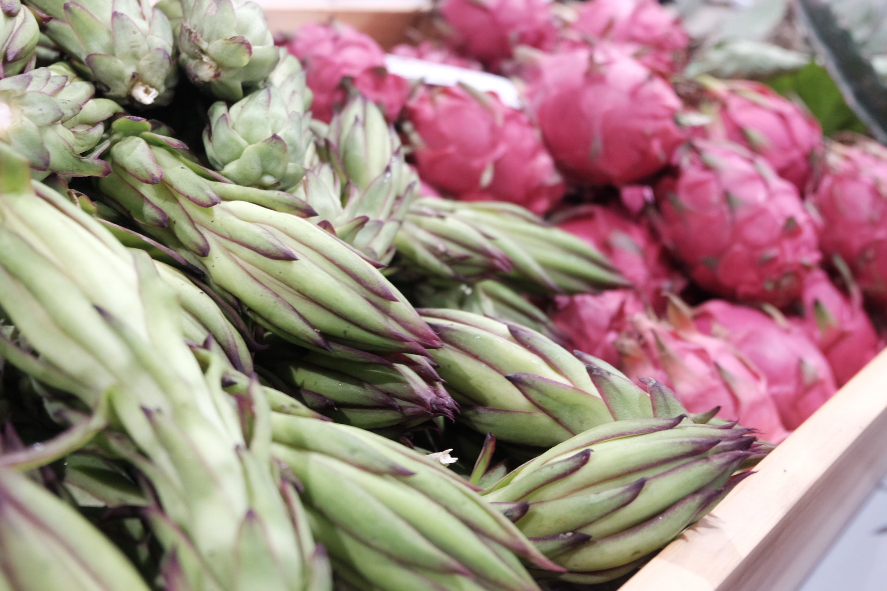 乐活+乡趣+市集