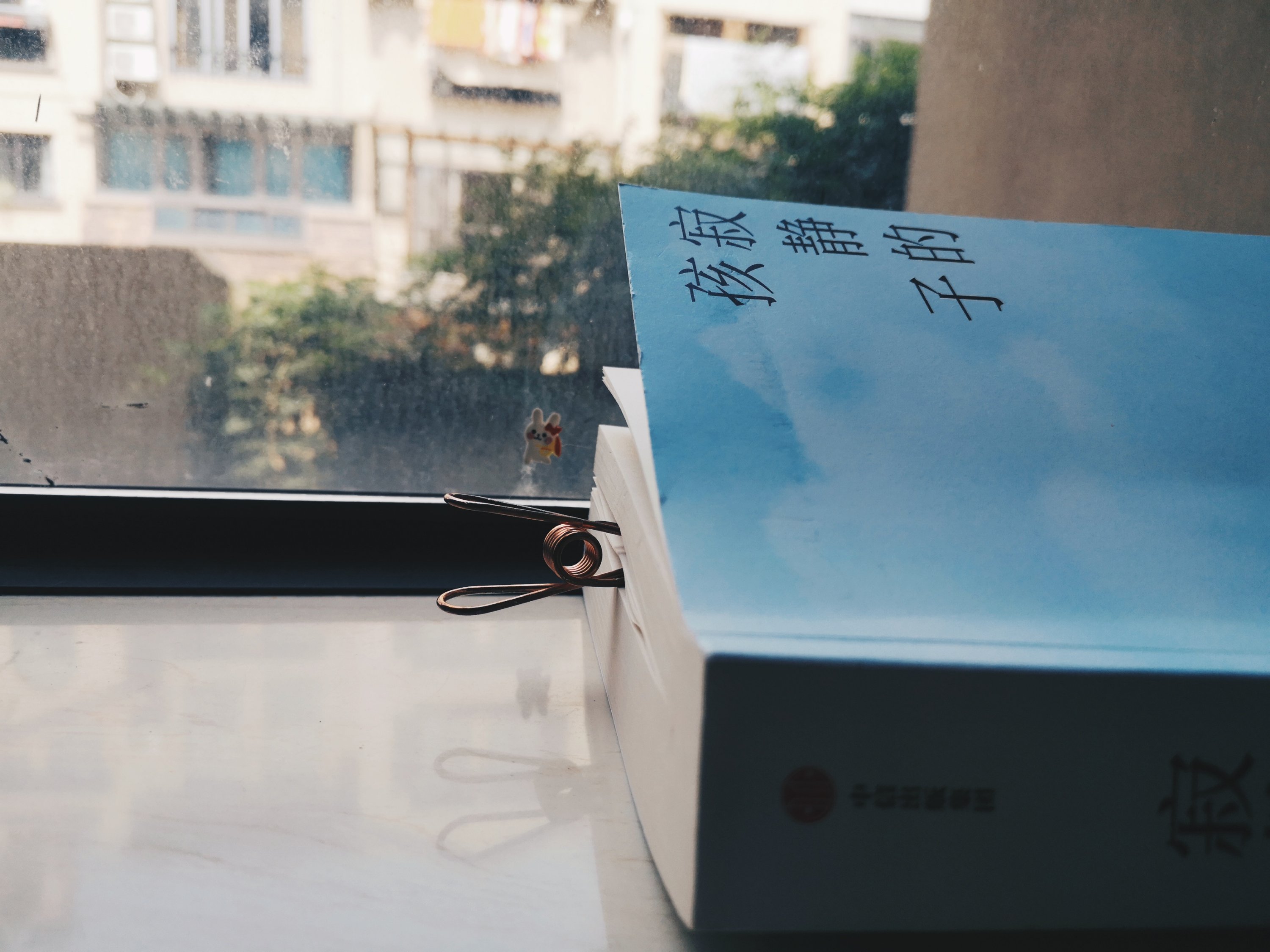 袁凌：寂静的孩子