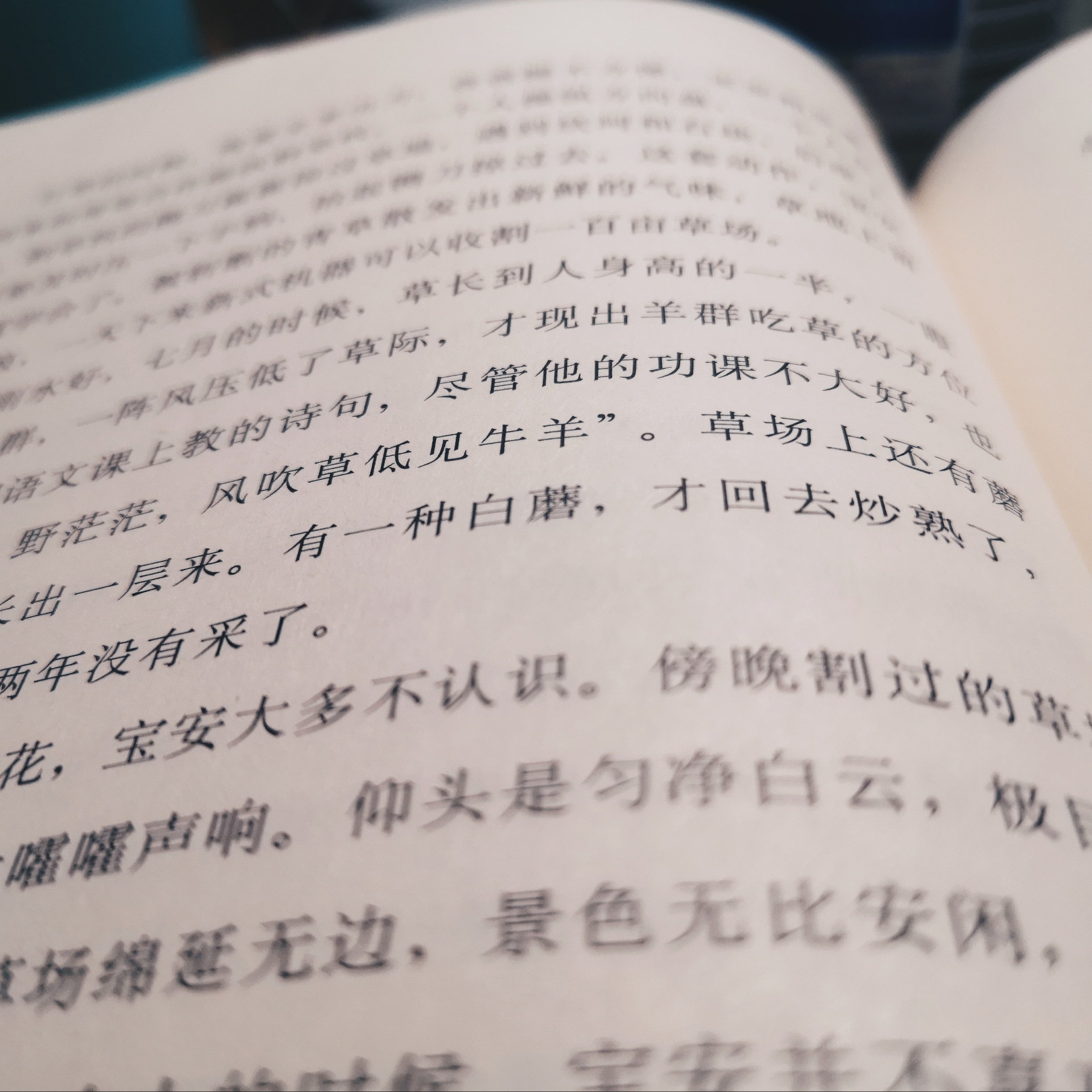 袁凌：寂静的孩子