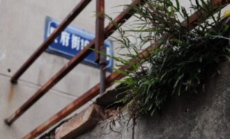 人间草木