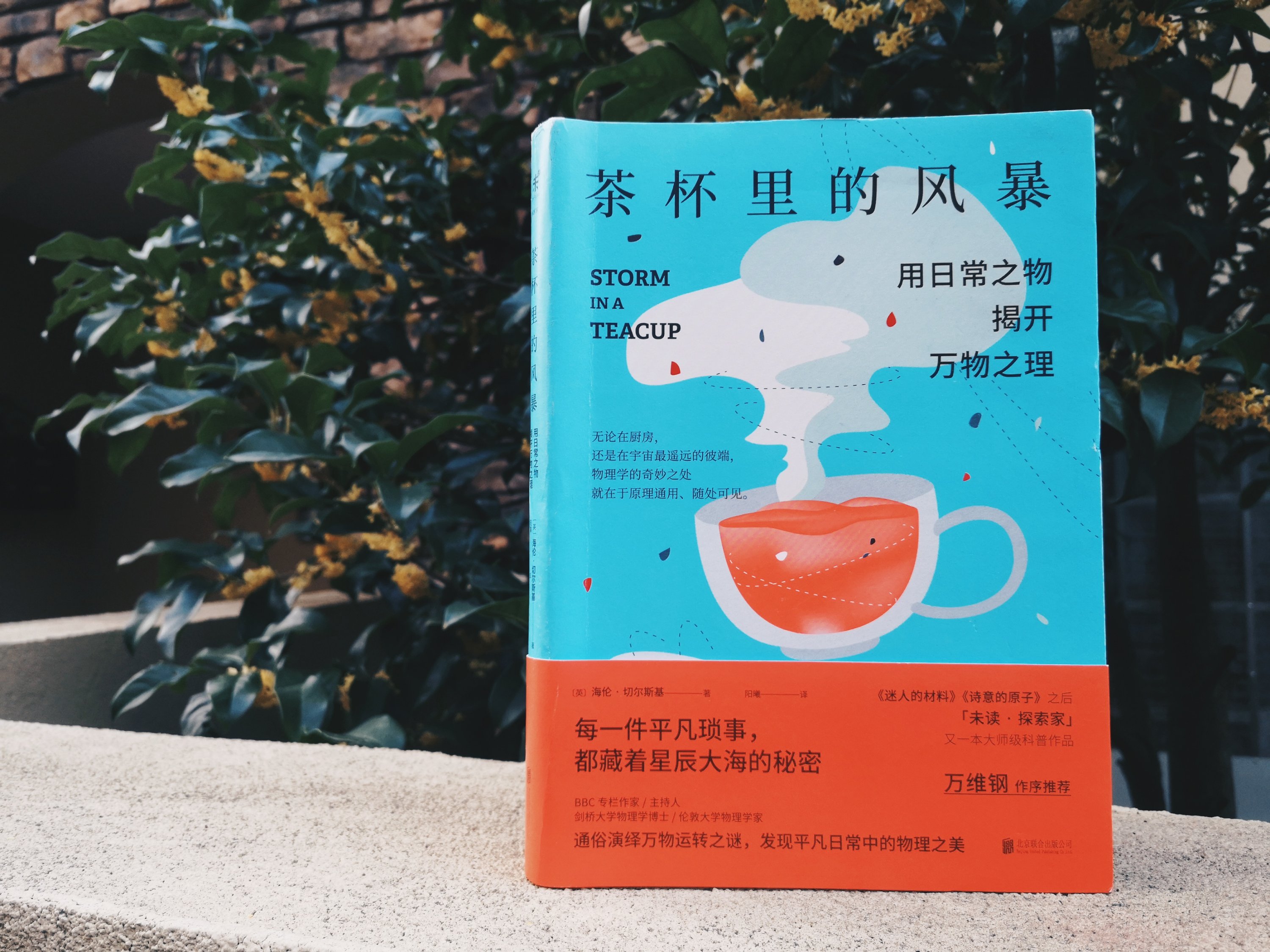 茶杯里的风暴