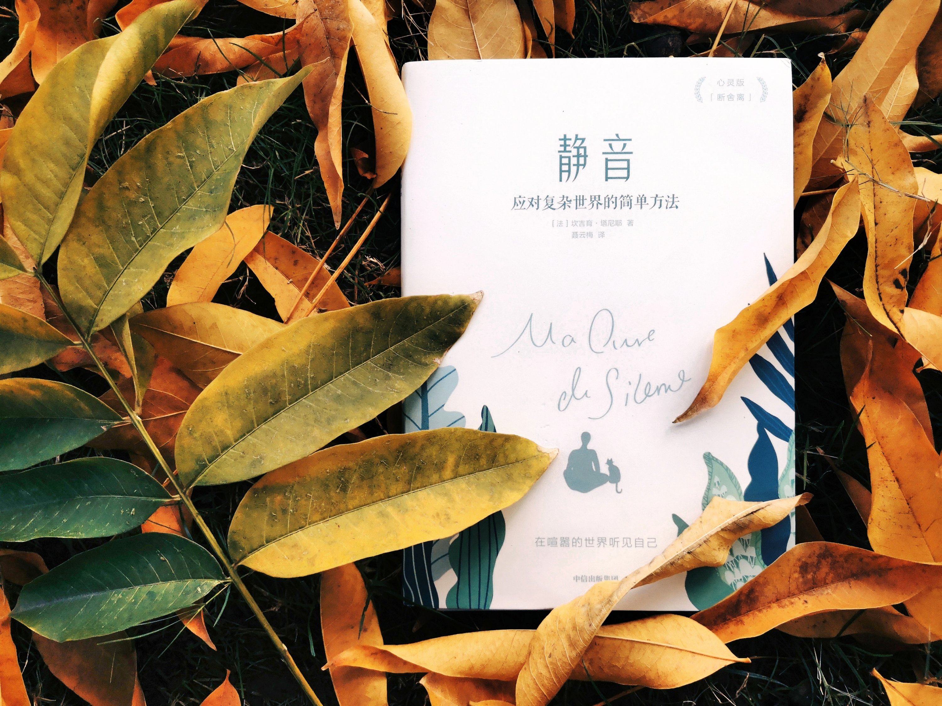 静音：应对复杂世界的简单方法