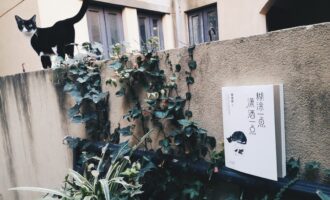 糊涂一点，潇洒一点：时光成就心底的温柔与纯良
