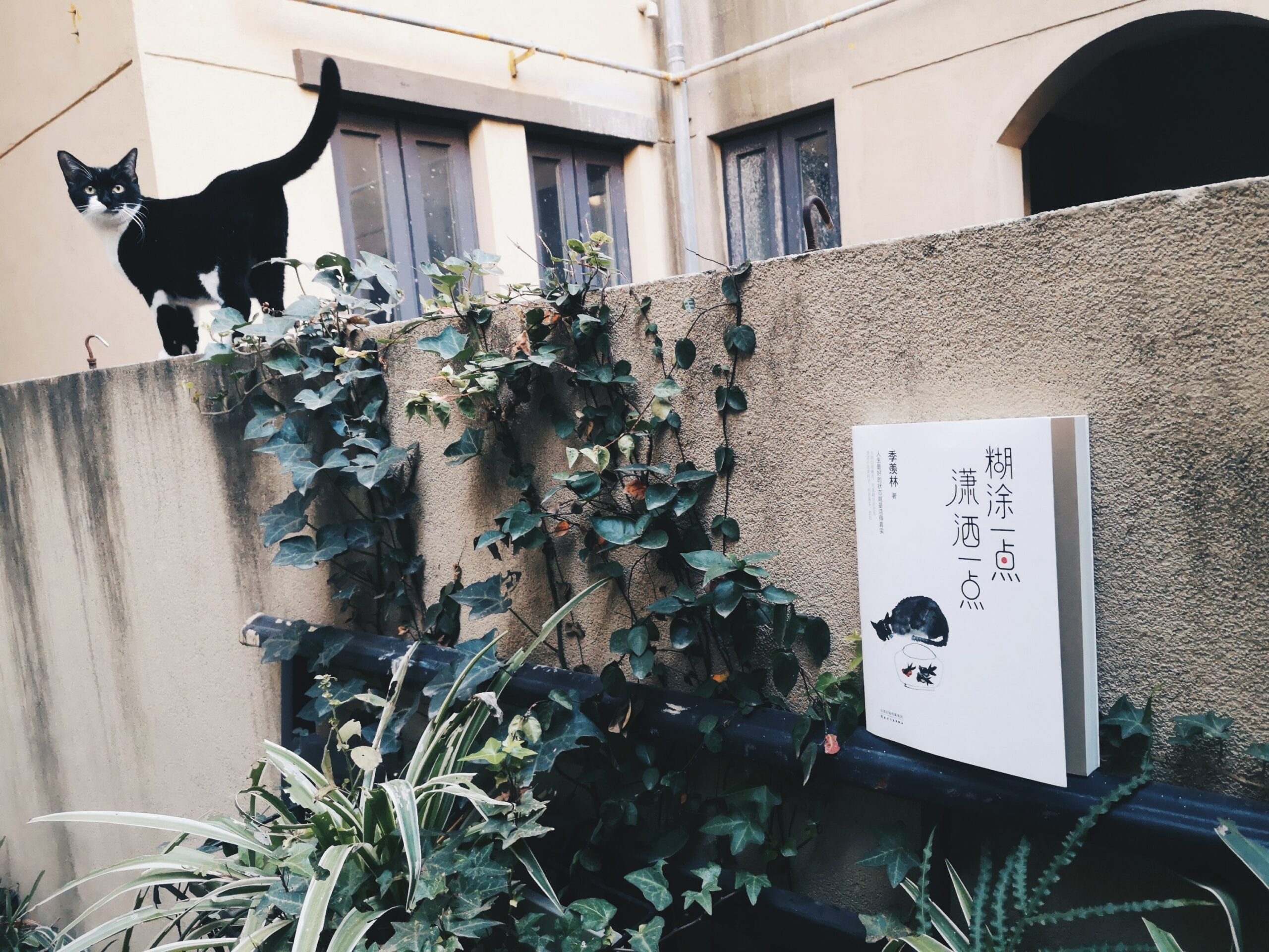 季羡林 糊涂一点，潇洒一点