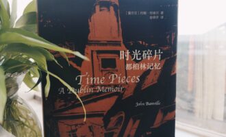 时光碎片，都柏林的记忆：读一本书，说到底还是在读自己