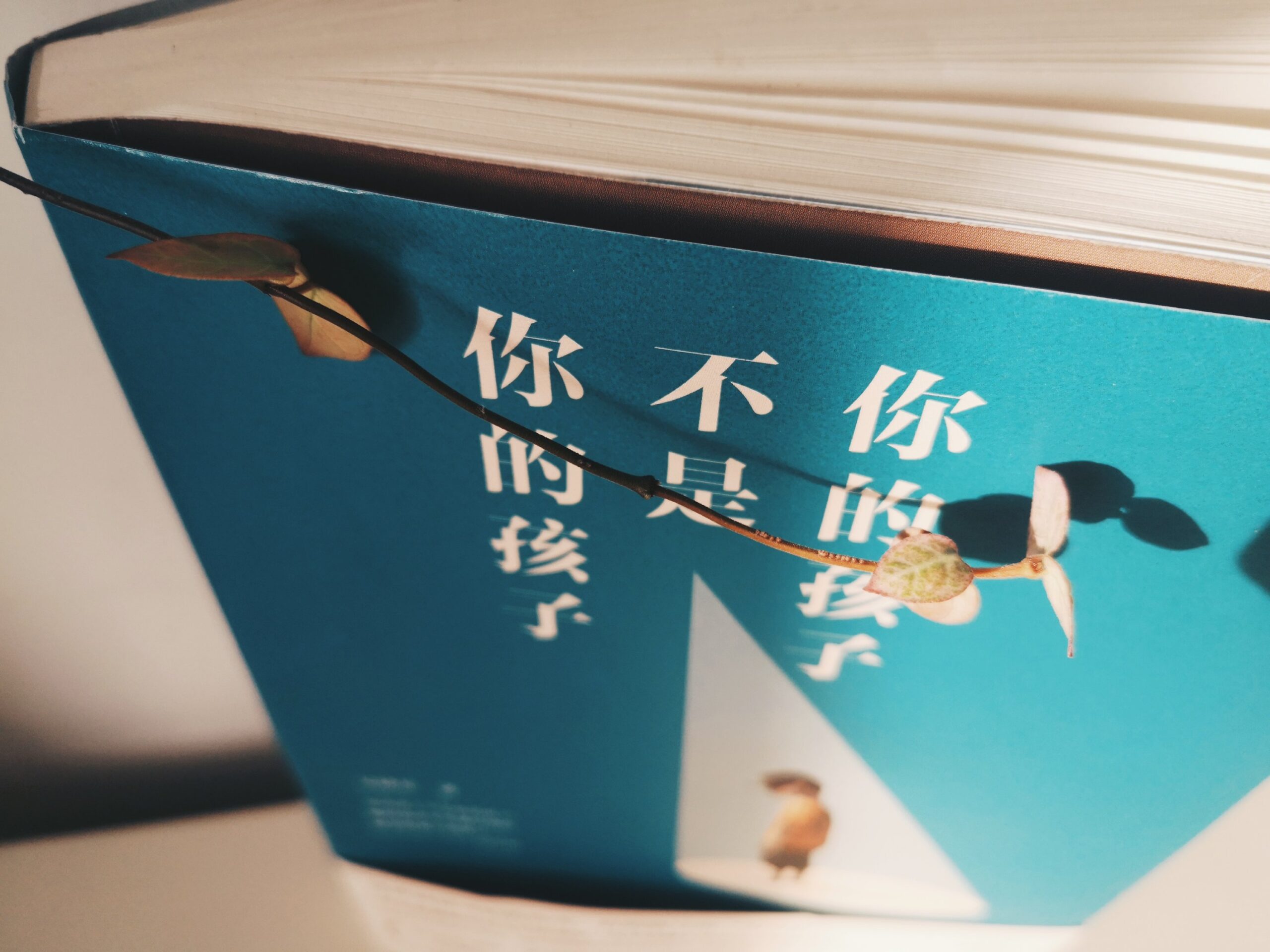 吴晓乐：你的孩子不是你的孩子
