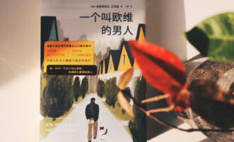 一个叫欧维的男人：这是一本很好哭的书