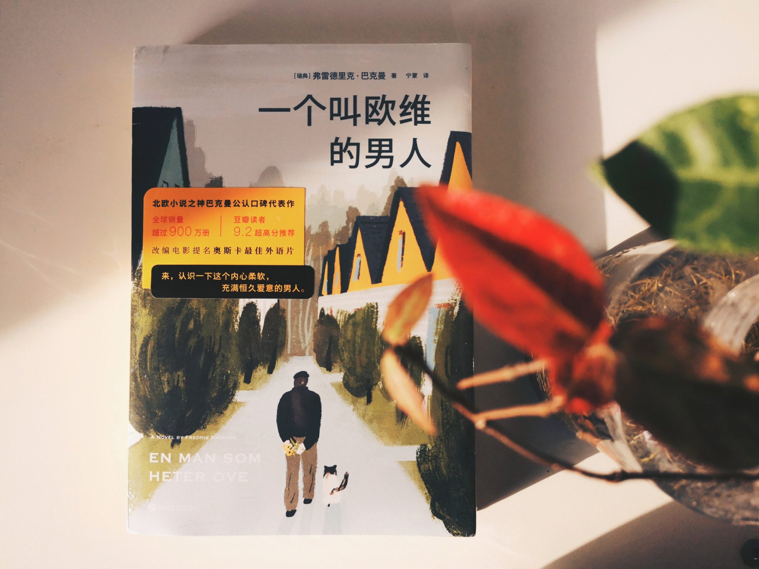 一个叫欧维的男人