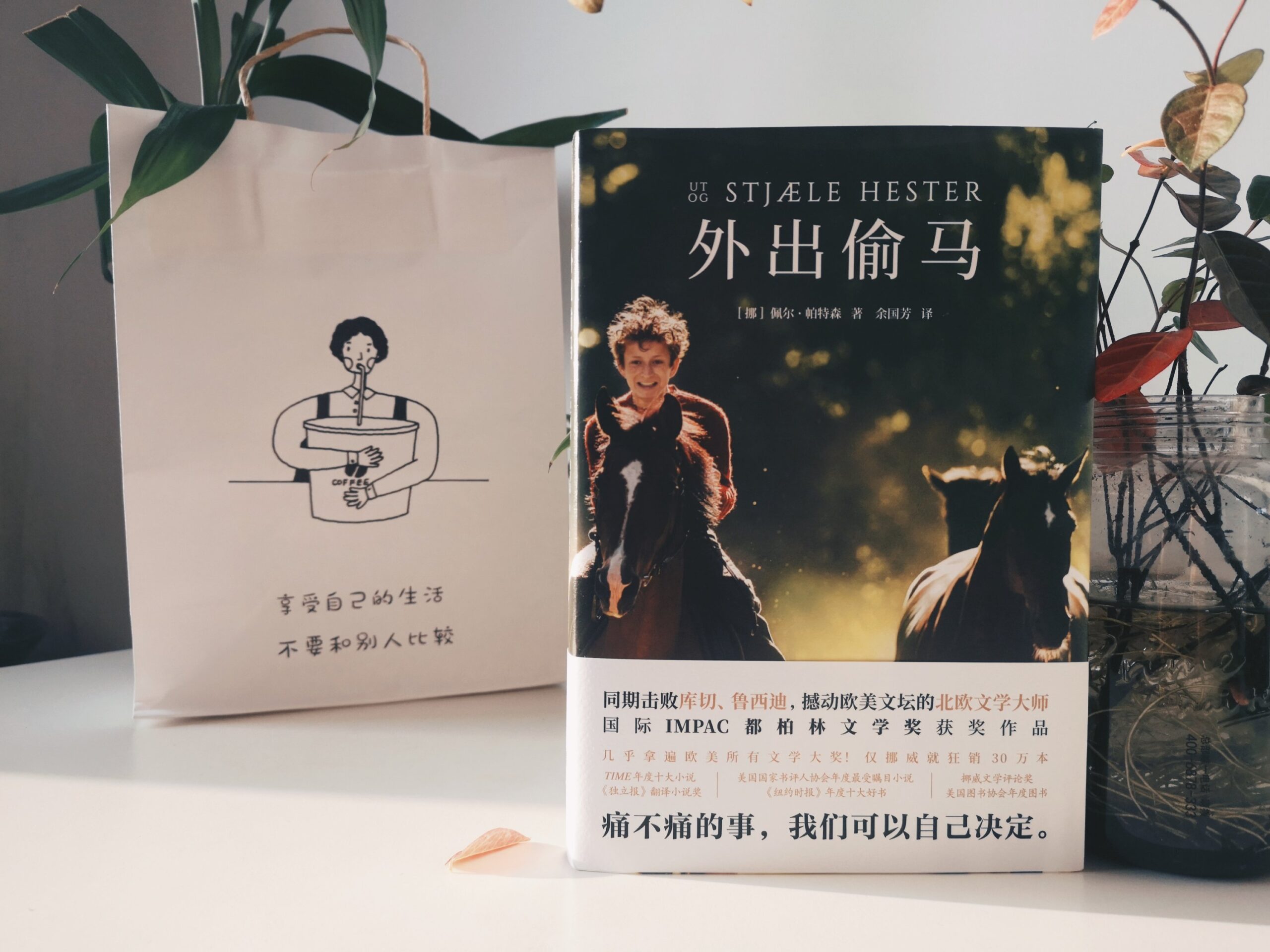 外出偷马