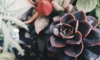人世间的7天：5+9号病床