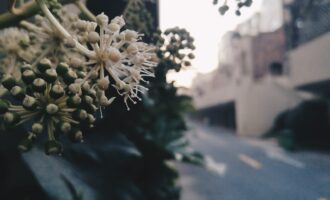 人世间的7天：是的，不能慌