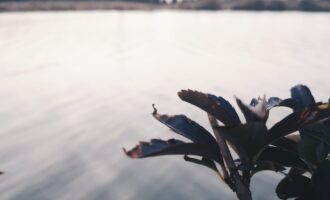文艺夜读：无人岛