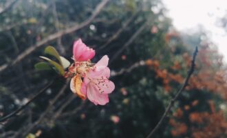 对工作感到无力迷茫时，该怎么办？